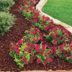 Vigoro 37.5 cu. ft. Red Recycled Rubber Mulch (25 Bags) -Green Haven Store vigoro rubber mulch gn15rd25 c3 1000