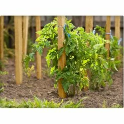 Vigoro 5 ft. Wooden Garden Stake 8 Vigoro 5 ft. Wooden Garden Stake -Green Haven Store vigoro tomato cages rc 85n 4f 1000