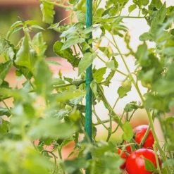 Vigoro 3 ft. Green Colored Steel Core Garden Stake -Green Haven Store vigoro tomato cages st3vg c3 1000