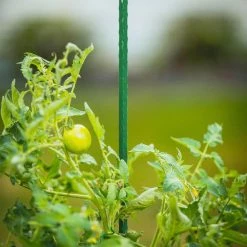 Vigoro 4 ft. Green Colored Steel Core Garden Stake -Green Haven Store vigoro tomato cages st4vg 76 1000