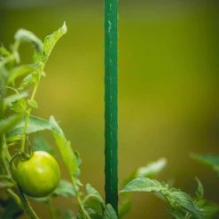 Vigoro 5 ft. Green Colored Steel Core Garden Stake -Green Haven Store vigoro tomato cages st5vg 66 1000