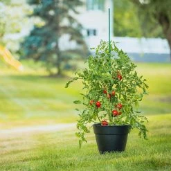 Vigoro 5 ft. Green Colored Steel Core Garden Stake -Green Haven Store vigoro tomato cages st5vg c3 1000