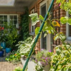 Vigoro 6 ft. Green Colored Heavy Duty Steel Core Garden Stakes 10 Vigoro 6 ft. Green Colored Heavy Duty Steel Core Garden Stakes -Green Haven Store vigoro tomato cages st6hdvg 4f 1000