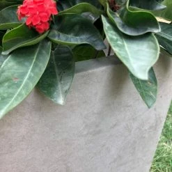 KANTE 31 in. L Rectangular Weathered Concrete/Fiberglass Indoor Outdoor Elegant Planter -Green Haven Store weathered concrete kante plant pots osf0104b c80021 2 44 1000