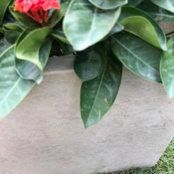 KANTE 31 in. L Rectangular Weathered Concrete/Fiberglass Indoor Outdoor Elegant Planter -Green Haven Store weathered concrete kante plant pots osf0104b c80021 2 fa 1000