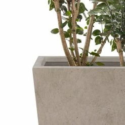 KANTE 24.4", 18" &15.7"H Weathered Finish Concrete Tall Planter Set of 3, Large Outdoor Indoor w/ Drainage Hole & Rubber Plug 11 KANTE 24.4", 18" &15.7"H Weathered Finish Concrete Tall Planter Set of 3, Large Outdoor Indoor w/ Drainage Hole & Rubber Plug -Green Haven Store weathered concrete kante plant pots rf2015017cde c80021 2 4f 1000