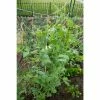 Vigoro 5 ft. x 8 ft. Sturdy Garden Trellis -Green Haven Store white vigoro tomato cages t008avg 64 1000